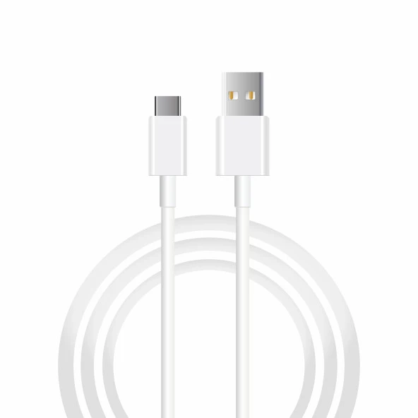 Schitec Huawei Matepad T10 Tablet İle Uyumlu Usba to Type-C 2Metre Data ve Hızlı Şarj Kablosu